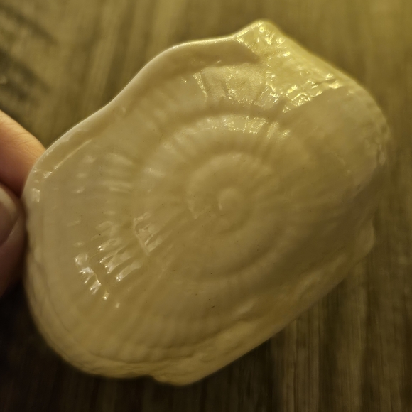Belleek Toy Nautilus Shell Set - Picture 7 of 10